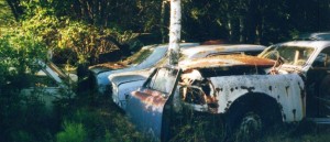 Båstnäs (Schweden): Autofriedhof