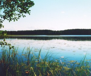 Bolmensee: Uferabschnitt