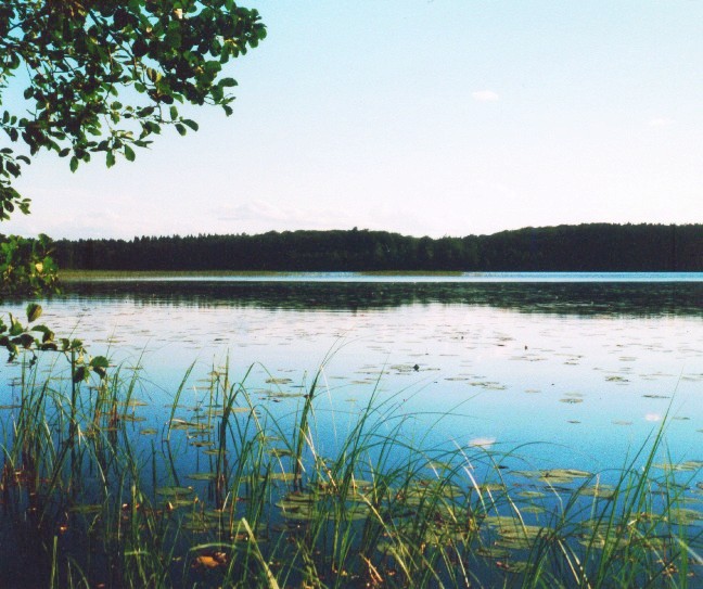 Småland: Bolmensee