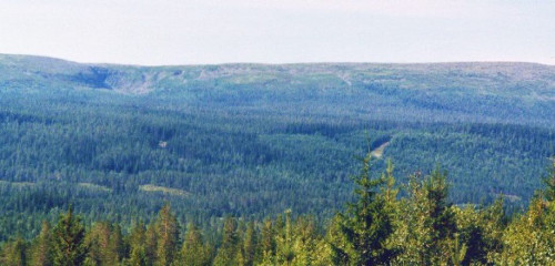 Fulufjället Nationalpark: Wandern im Fjäll, Camping in Särna