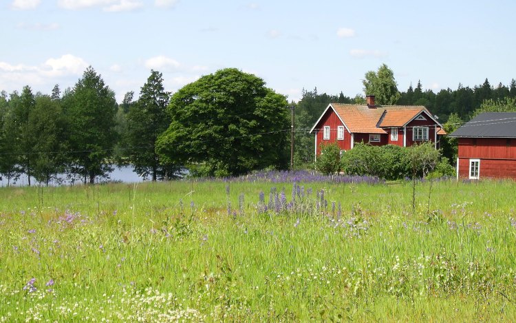 Schwedenhaus auf dem Land
