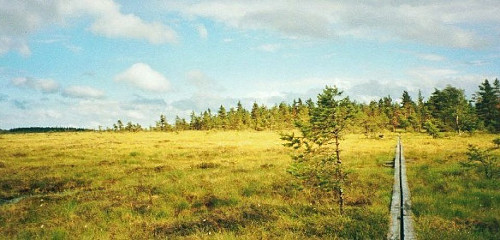 Trekking in Schweden: Wanderwege, Campingplätze, Ausrüstung