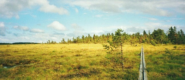 Wandern in Schweden: Naturstig
