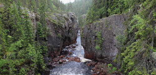 Vildmark in Schweden: Nationalpark Hamra & Orsa Finnmark