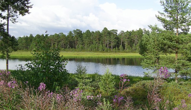 Schwedenbild von Färnebofjärden