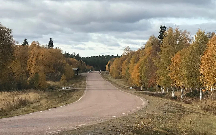 Härjedalen: Straße nach Lillhärdal