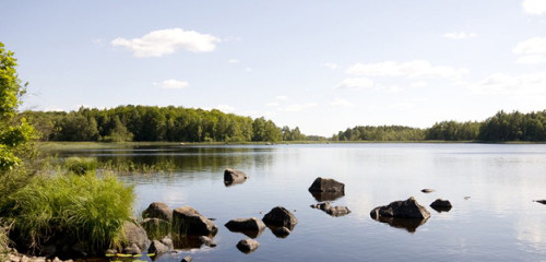 Åsnen (Asnen-See): Ferienhäuser in guter Lage & Angeln