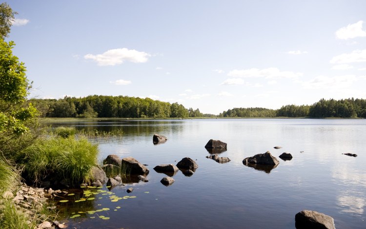 Åsnen: Seeufer in Südschweden