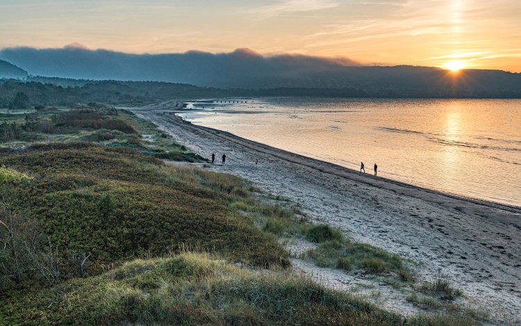 Halland: Küste mit Sandstrand