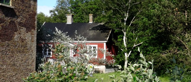 Garten in Schweden