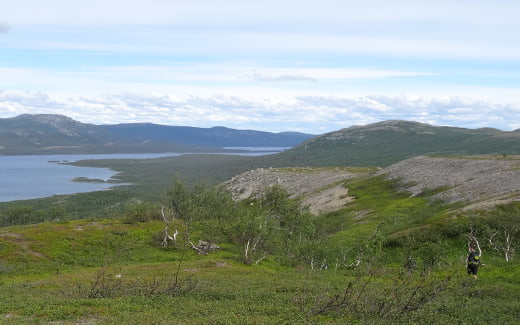 Wandern in Nordschweden