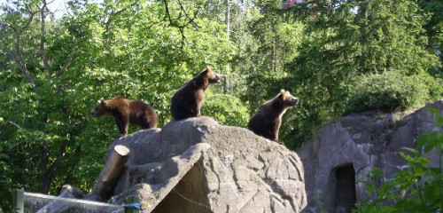 Skansen in Stockholm: Schweden als Freilichtmuseum