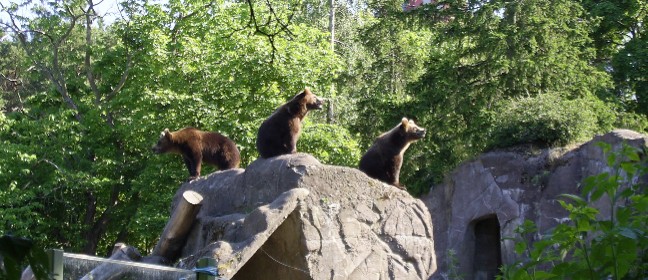 Stockholm: Freilichtmuseum Skansen