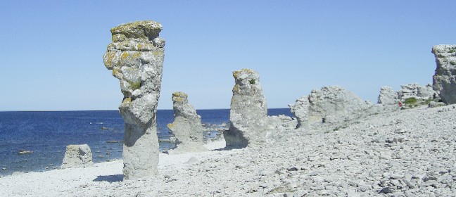 Digerhuvud auf Fårö (Gotland)