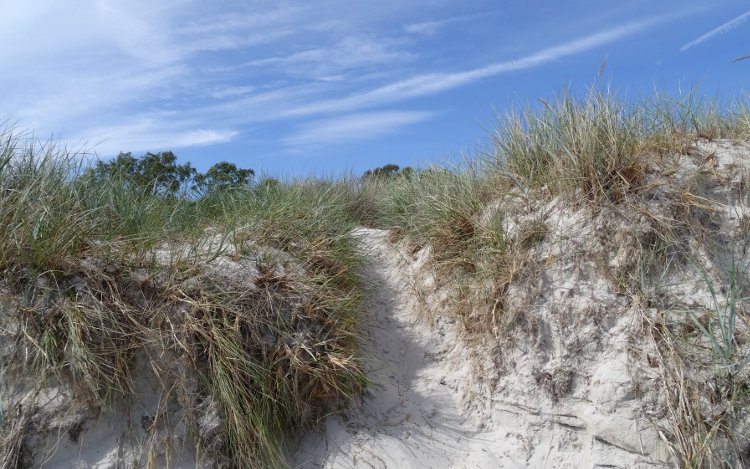 Kattegat: Dünen am Strand