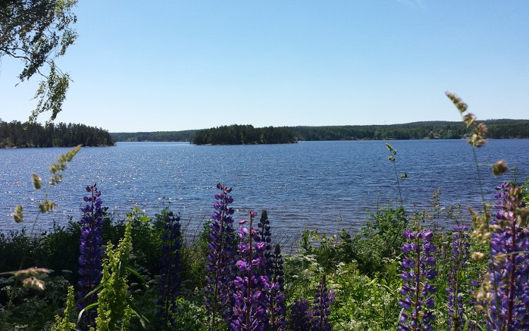 Dalsland: Nordmarken