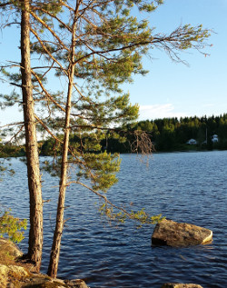 Dalsland: Stora Le