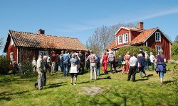 Stockholm: Schäreninsel Norröra