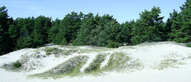 Fårö: Ullahau