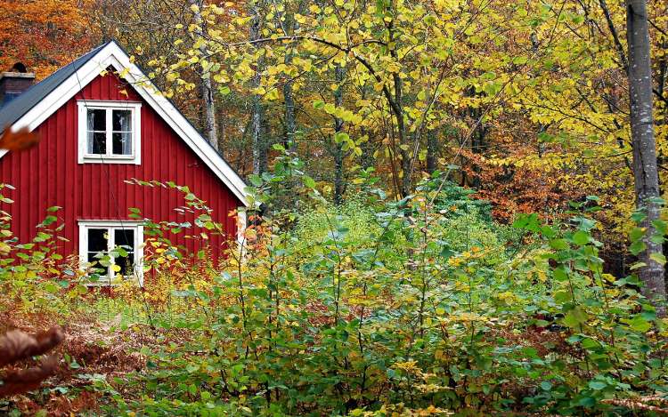 Skandinavischer Garten: Haus am Wald