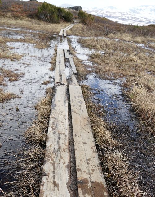 Wandertour Bild: typischer Weg aus Holzbohlen