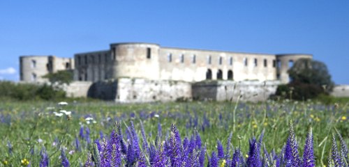 Borgholm: Schloss Solliden & weitere Sehenswürdigkeiten