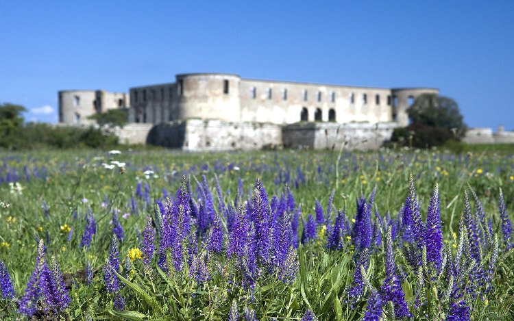 Ruine Schloss Borgholm