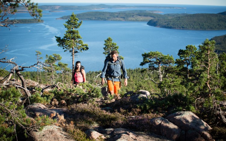 Höga Kusten: Wandern